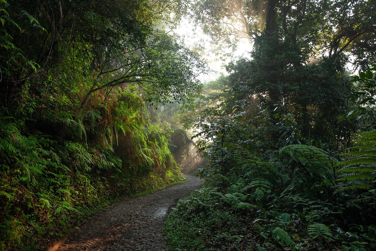 Exploring the Top Adventure Spots in the Caribbean